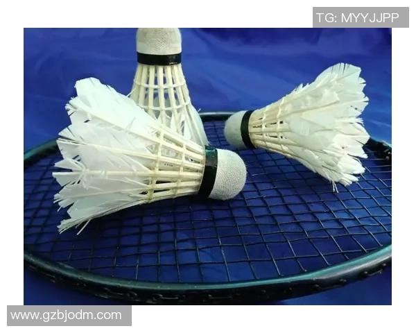 科学羽毛球训练方法探究与实践提升运动表现的有效策略